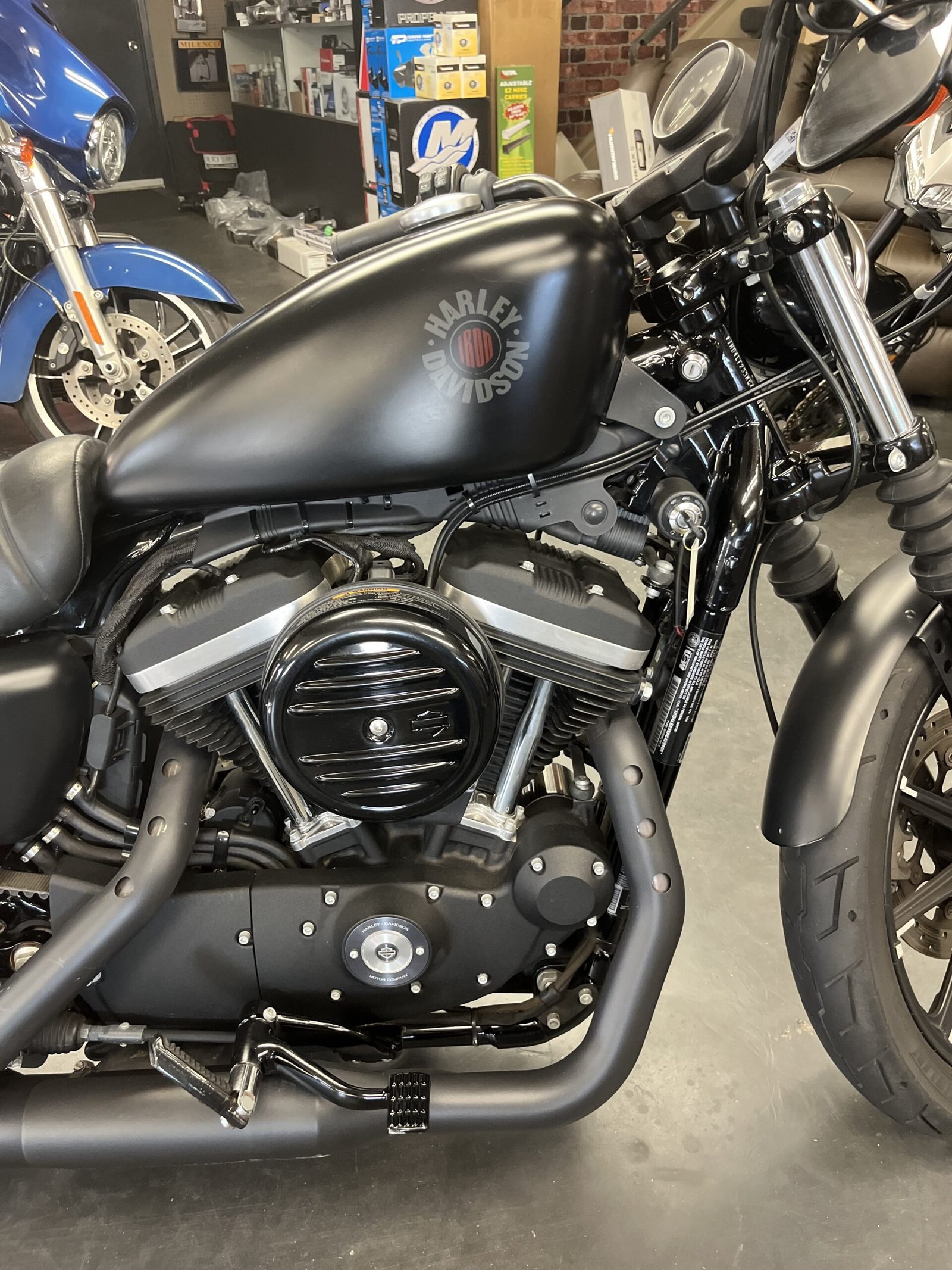 Used 2019 Harley-Davidson XL883N / Sportster (Iron 883) - Image 5