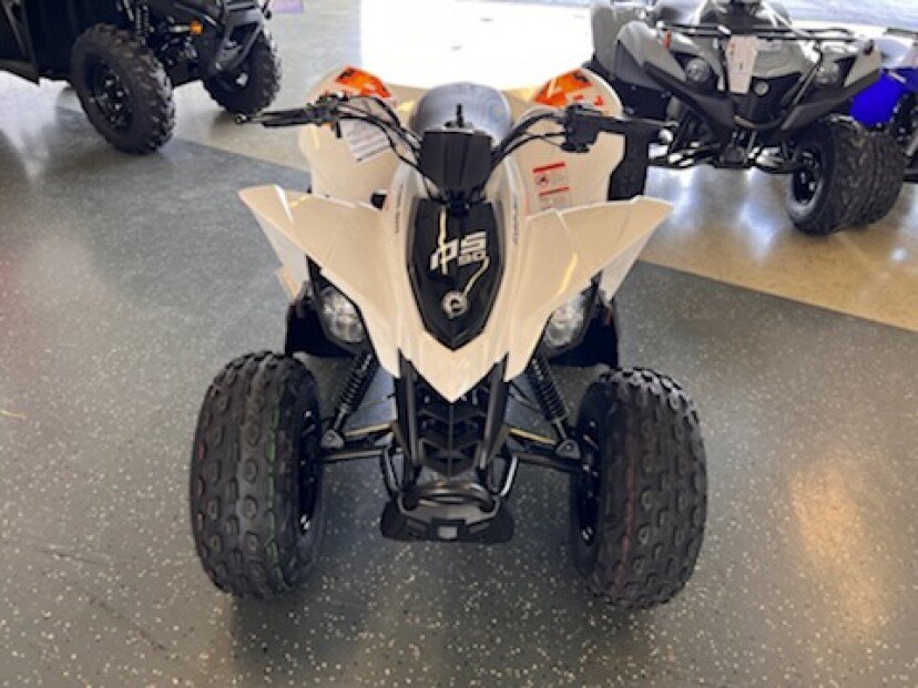 New 2022 Can-Am DS 90 For Sale - Image 3