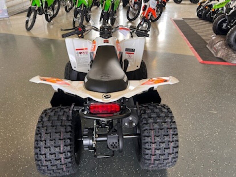 New 2022 Can-Am DS 90 For Sale - Image 2