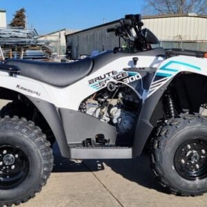 New 2022 Kawasaki Brute Force 300 For Sale