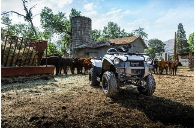 New 2022 Kawasaki Brute Force 300 For Sale - Image 16