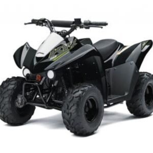 2019 Kawasaki Brute Force 750 4x4i EPS