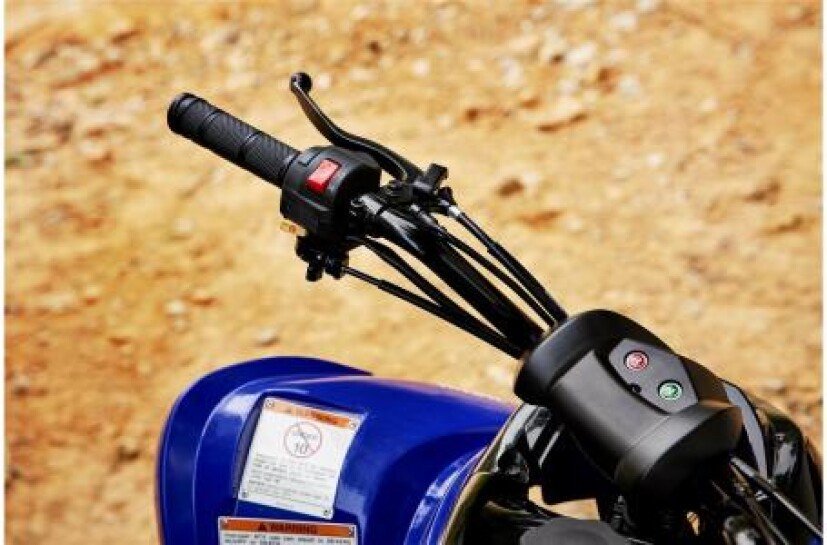 New 2022 Yamaha Raptor 90 For Sale - Image 6