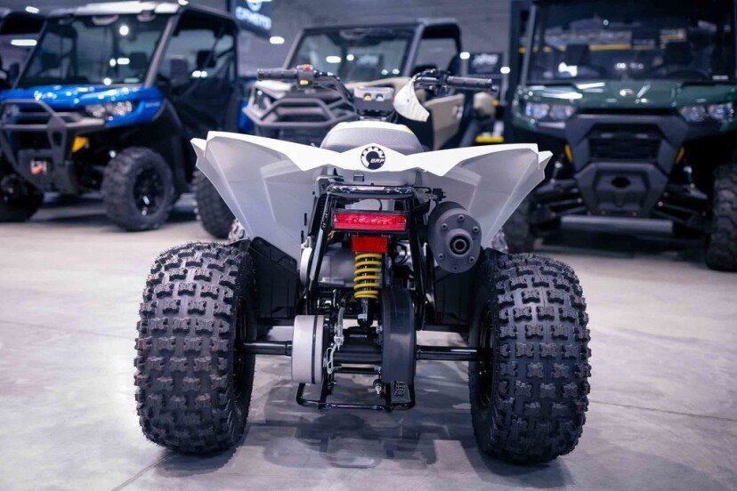 New 2024 Can-Am Renegade 70 For Sale - Image 3