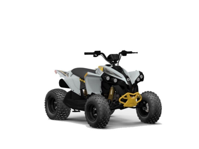 New 2024 Can-Am Renegade 70 For Sale - Image 9