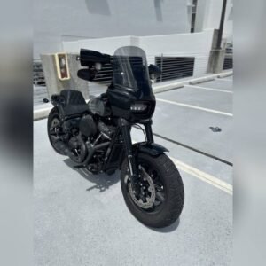 2023 FAT BOB 114