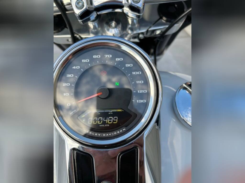 2021 Harley-Davidson SPORT GLIDE - Image 3