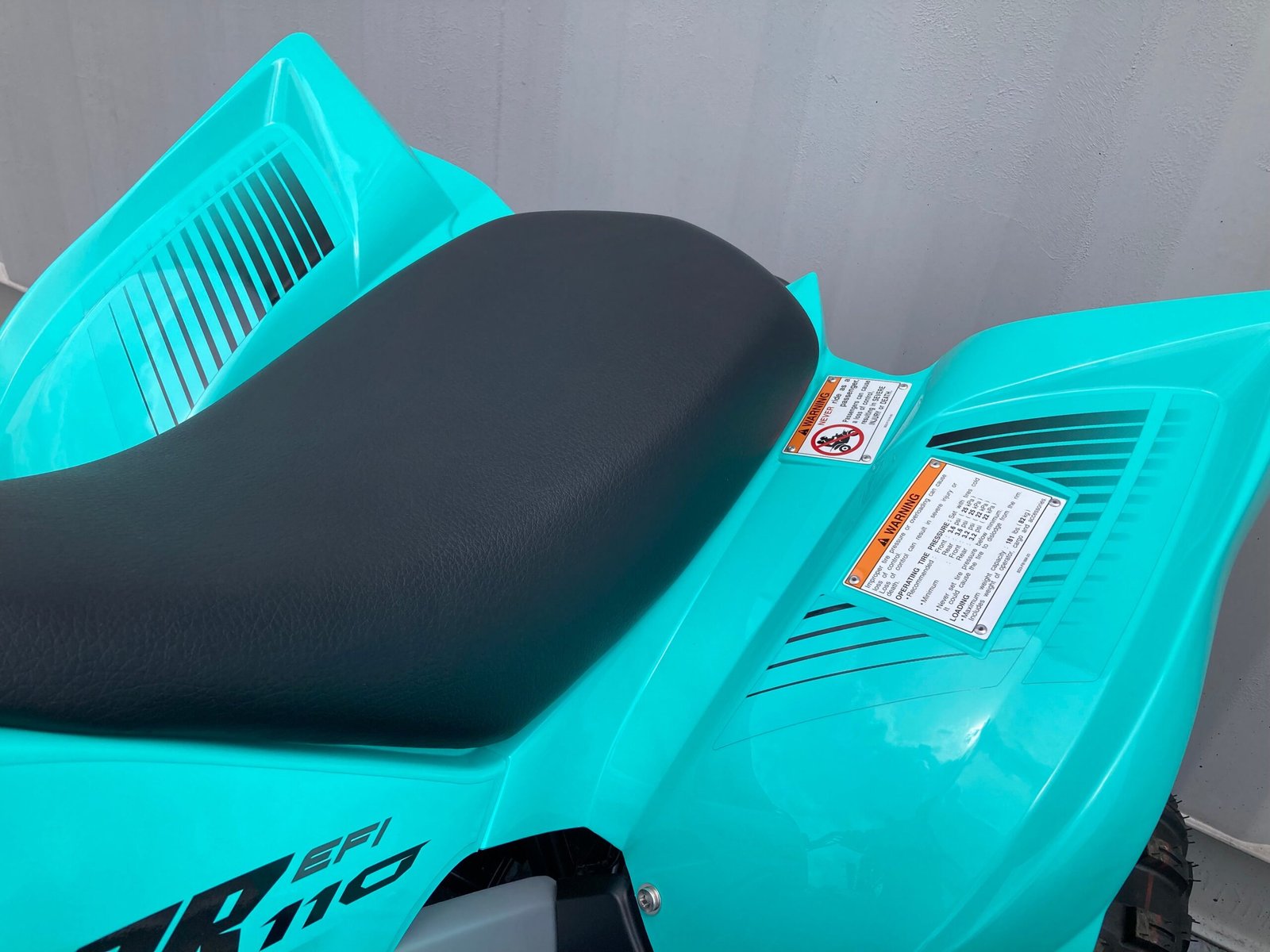 New 2024 Yamaha Raptor 110 For Sale - Image 6